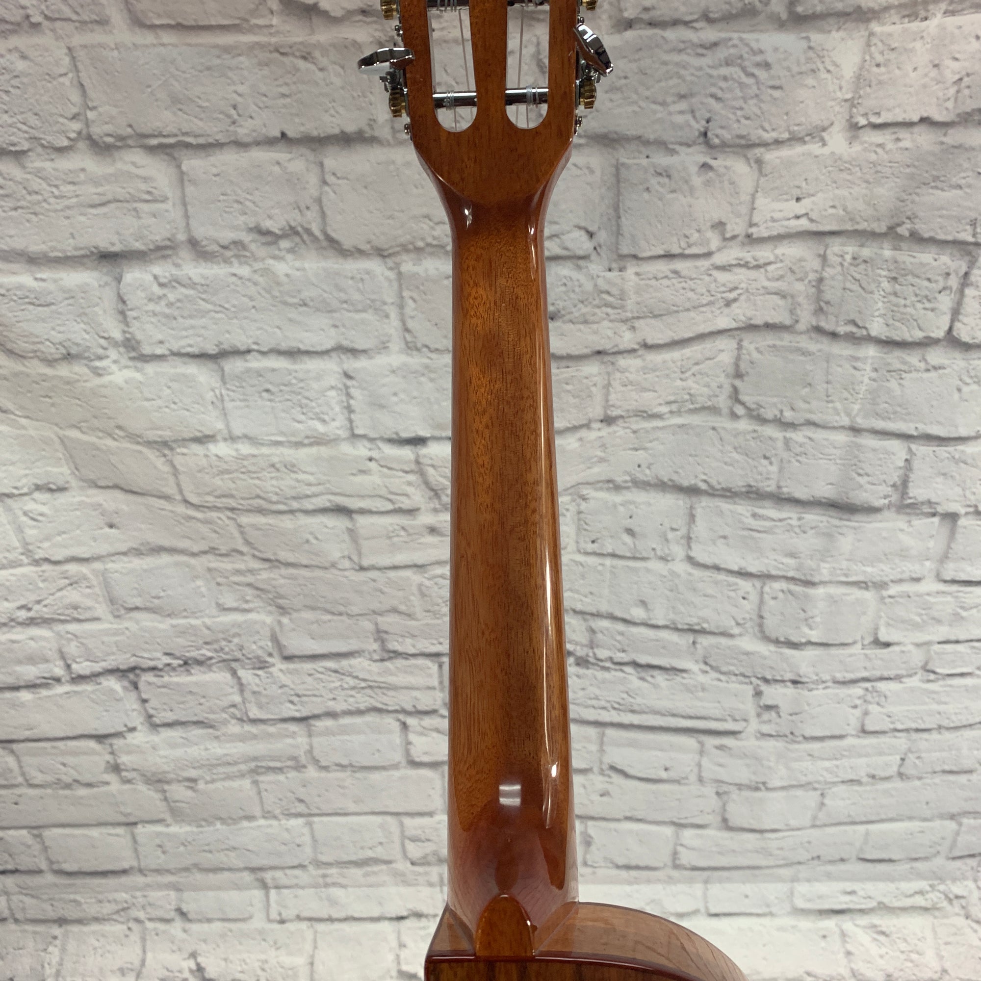 Kala KA-ATP-CTG-CE Cedar Top Tenor Ukulele