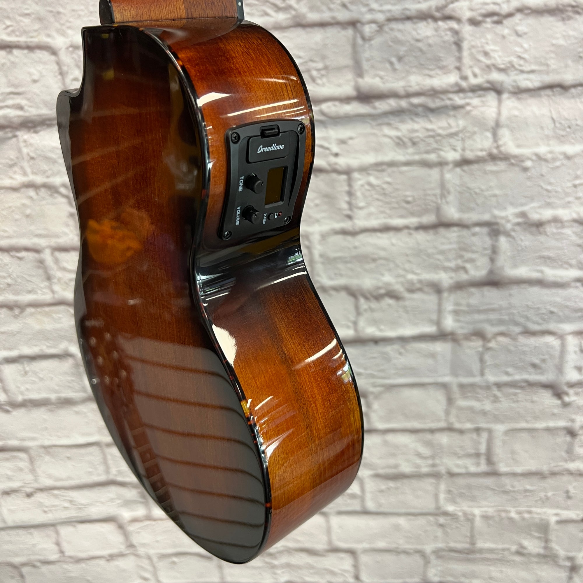 Breedlove Pursuit Ex CU CE BO Ukuleles