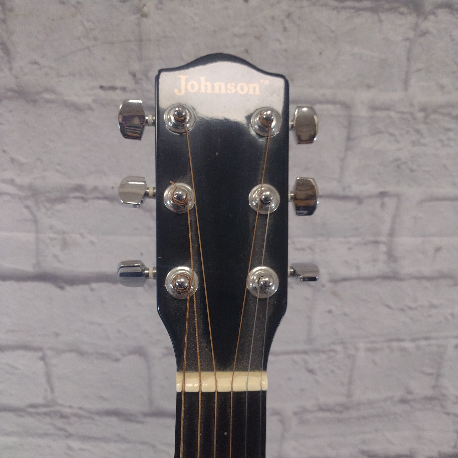 Johnson Blue Acoustic Guitar AS IS