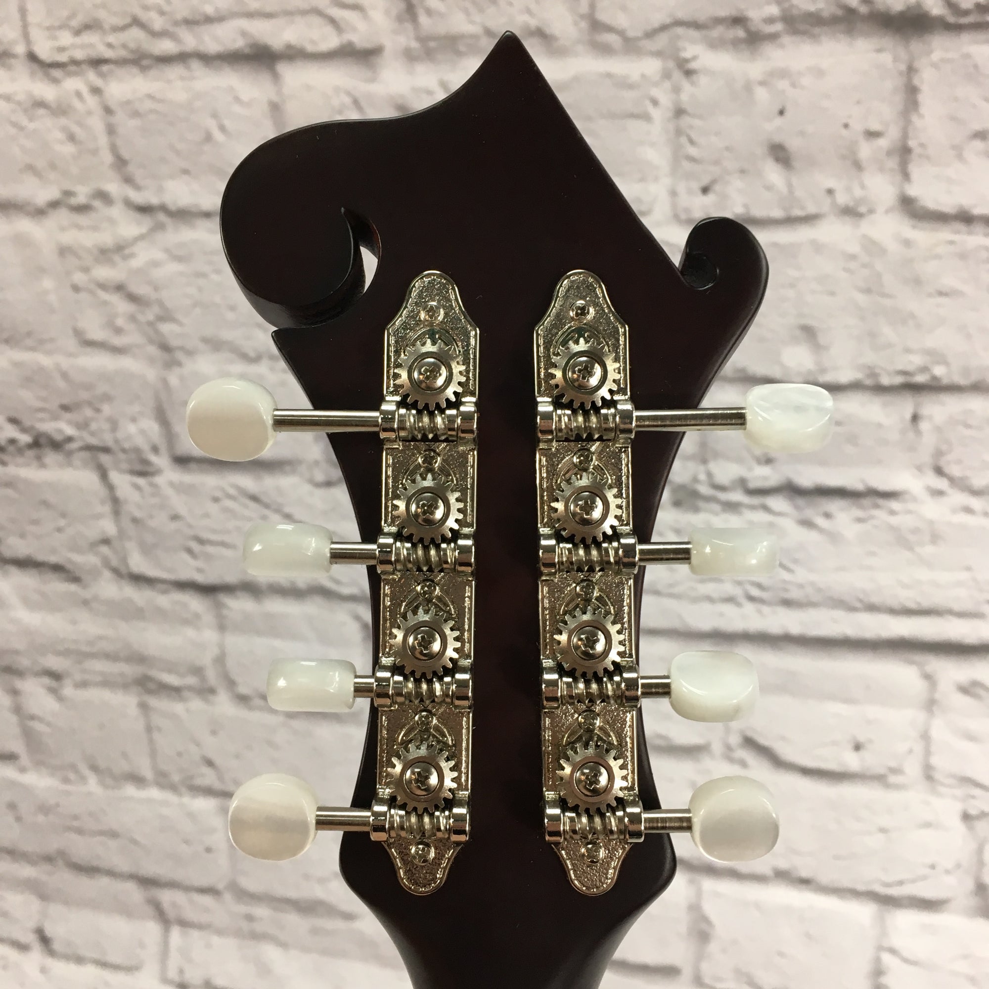 Loar LM-310 F Style Mandolin