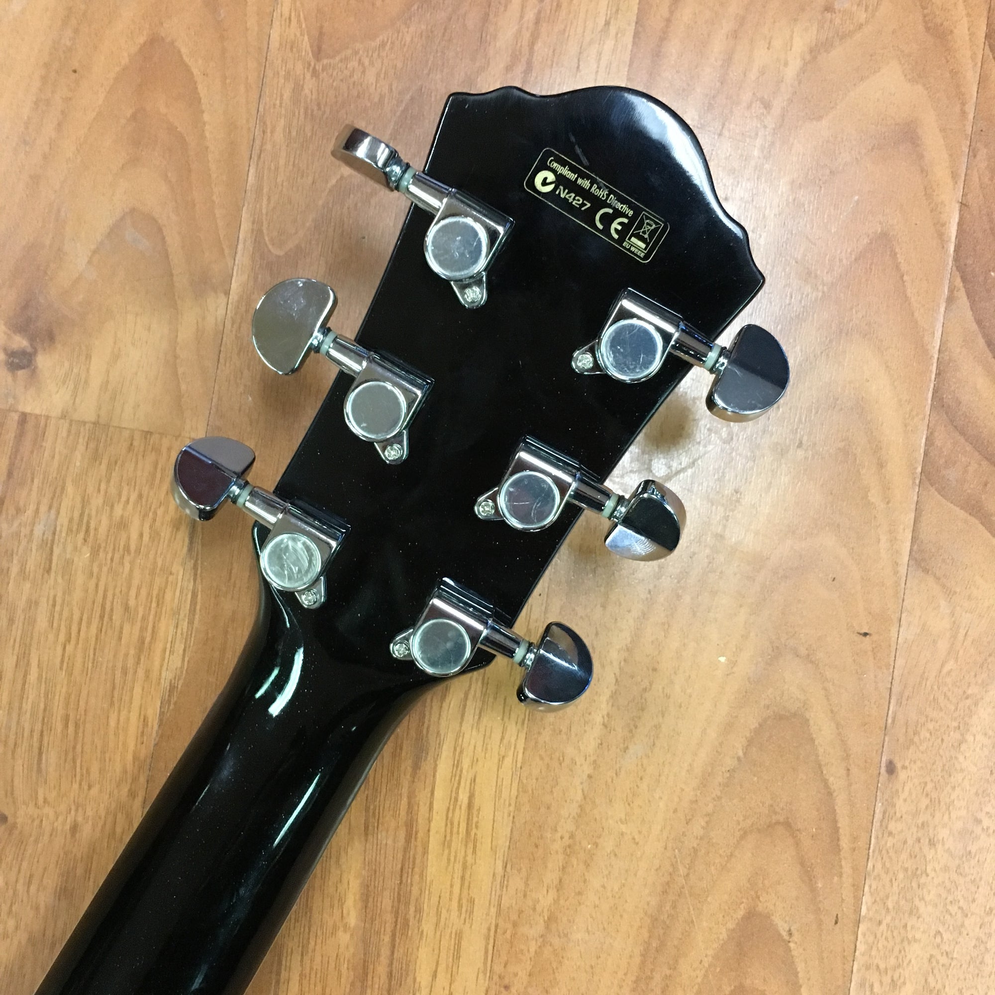 Ibanez AEG5E Thinline Acoustic Electric