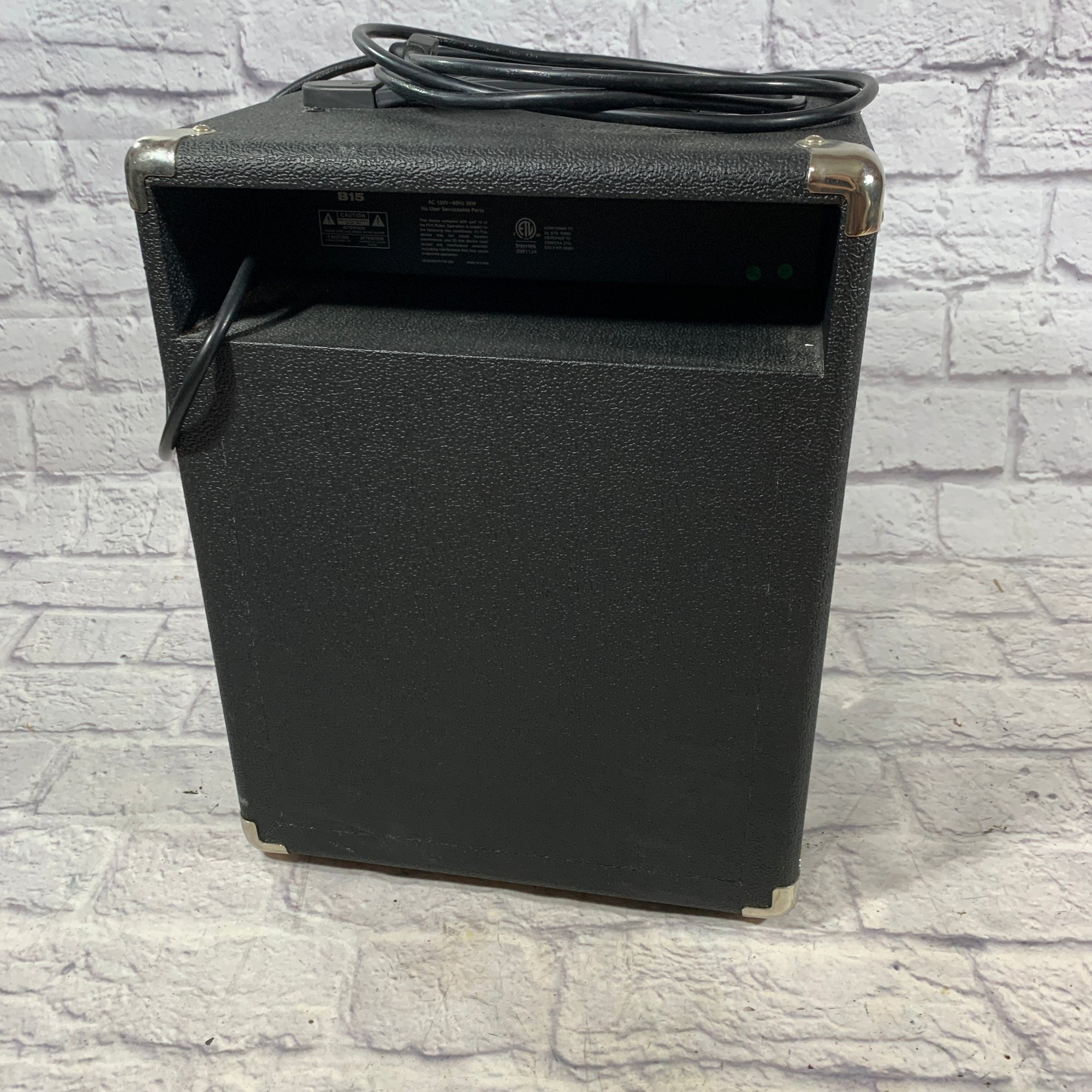 Acoustic B15 Bass Guitar Amp