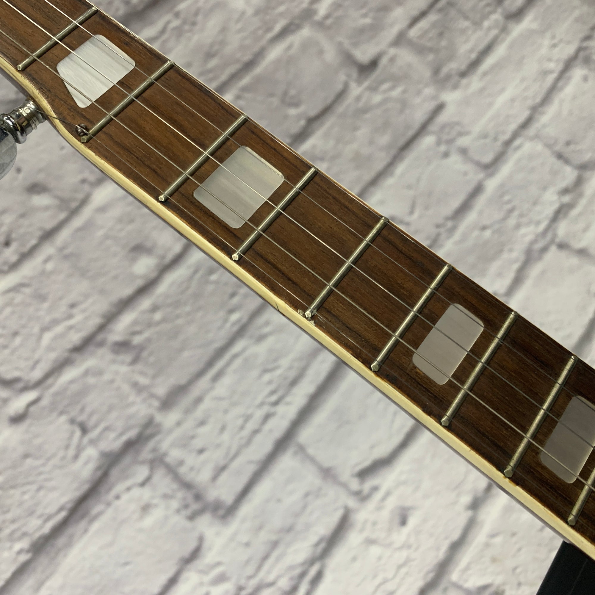 Vintage Alex 5-String Banjo