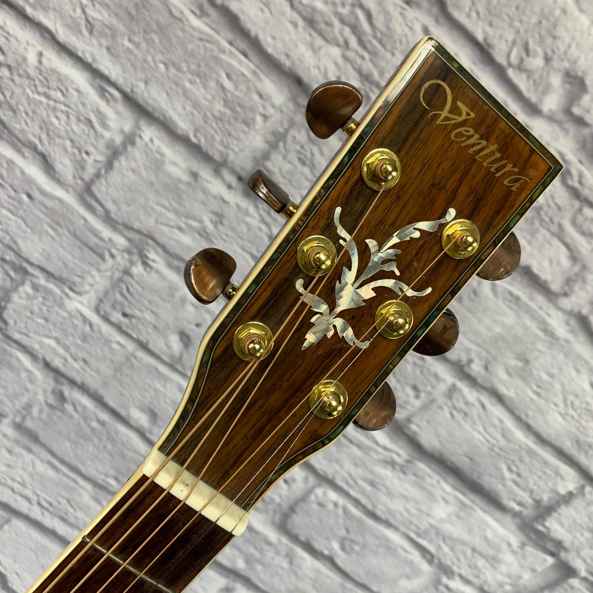 Ventura V4NAT Acoustic Guitar Natural - Evolution Music