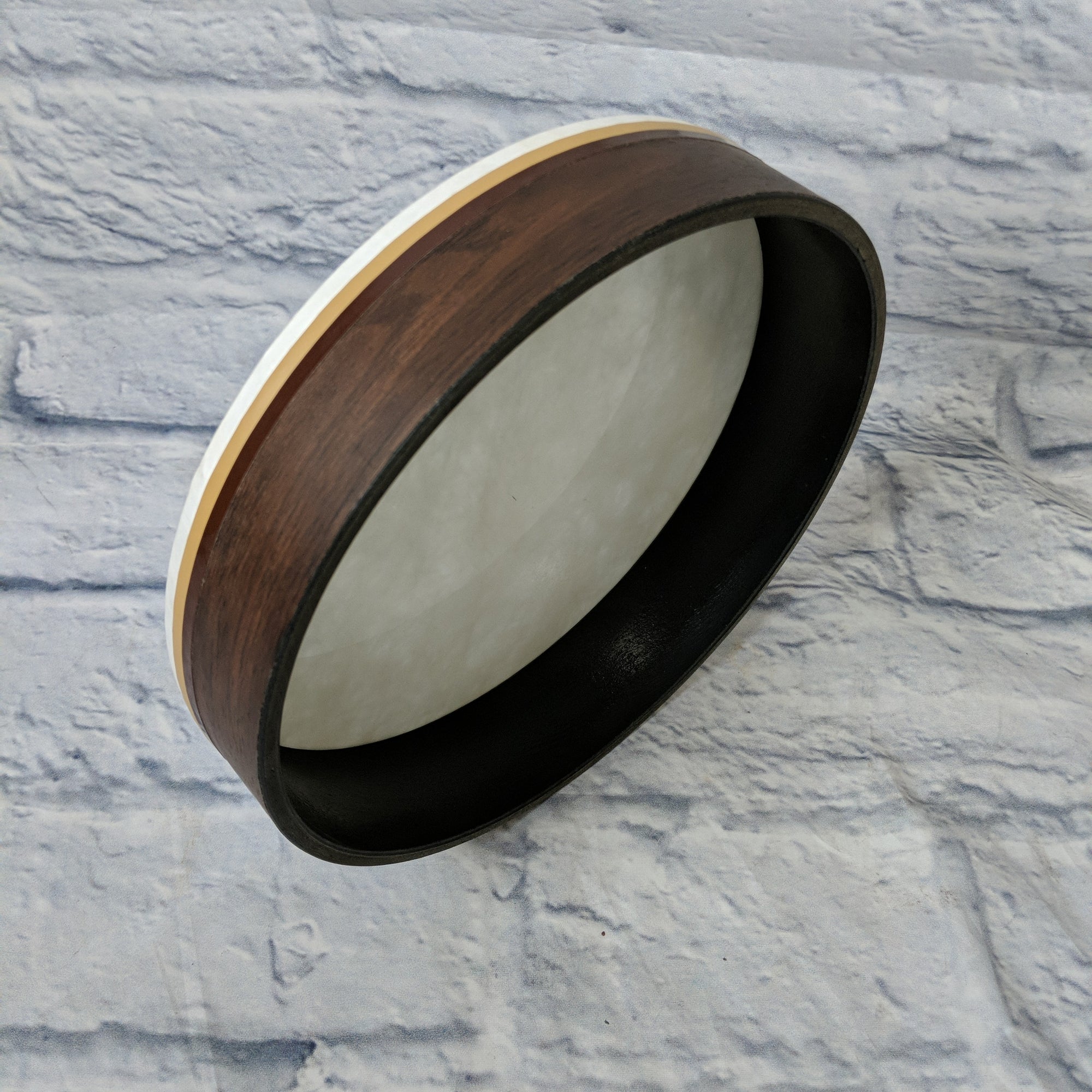 Remo 10 in hand drum