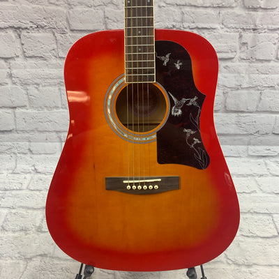 Jay Turser Acoustic Guitar