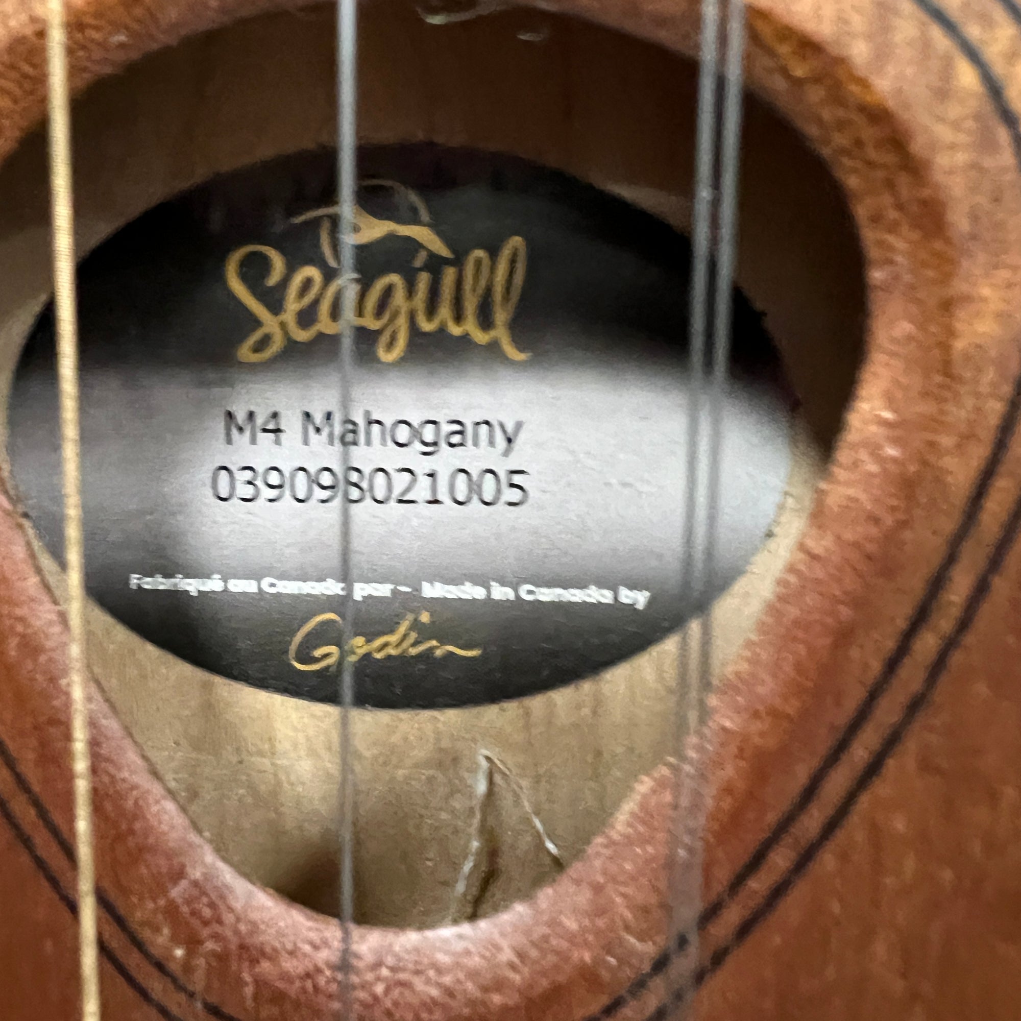 Seagull M4 Mahogany EQ 4-String Dulcimer Guitar