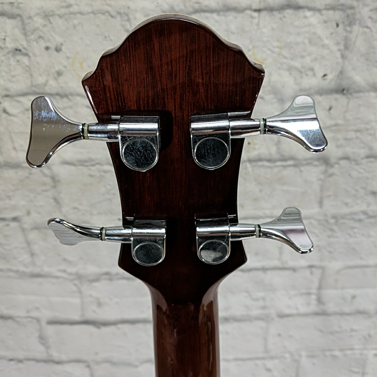 Michael Kelly Club Custom 4N Acoustic Bass with Case