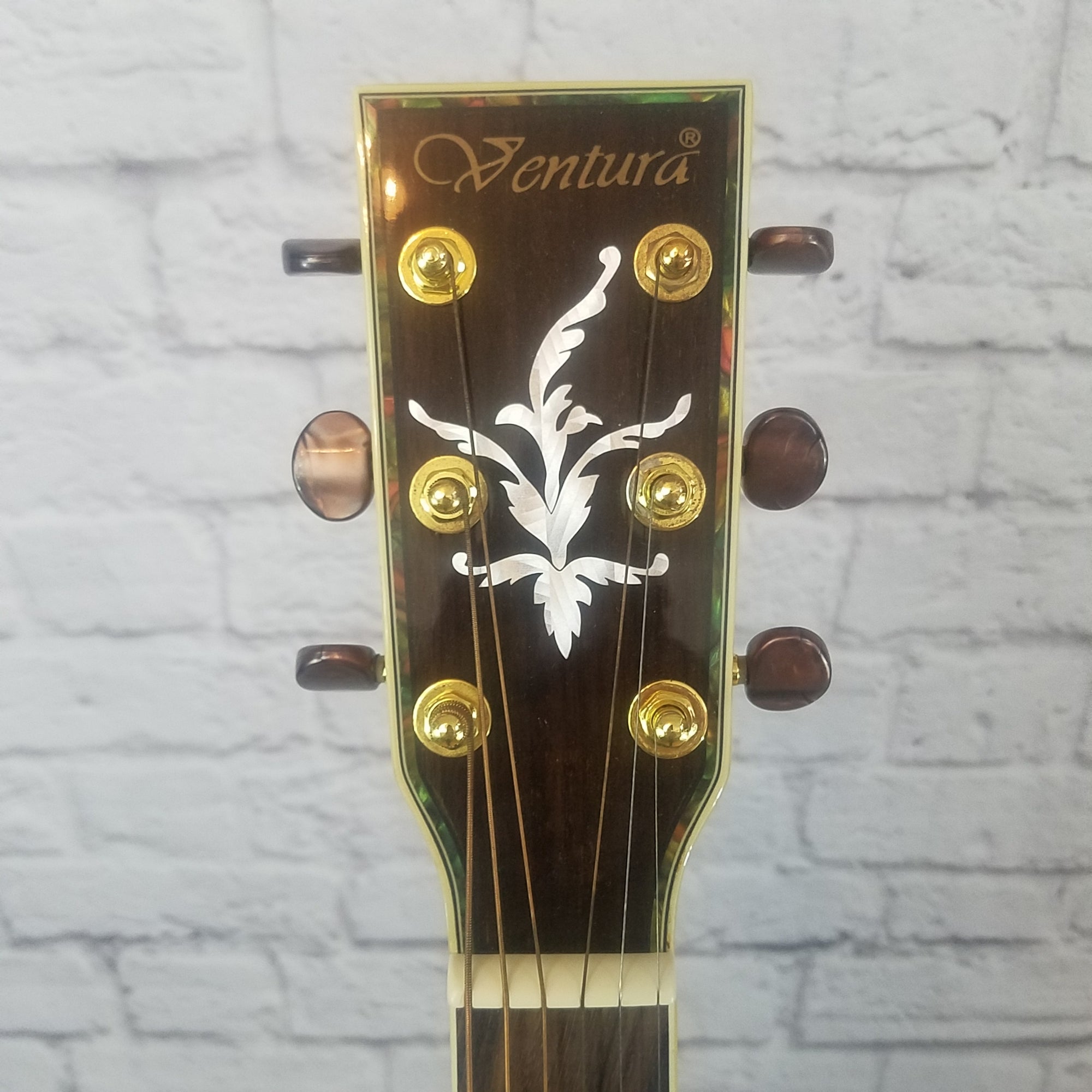 Ventura V4NAT Dreadnought Acoustic Guitar