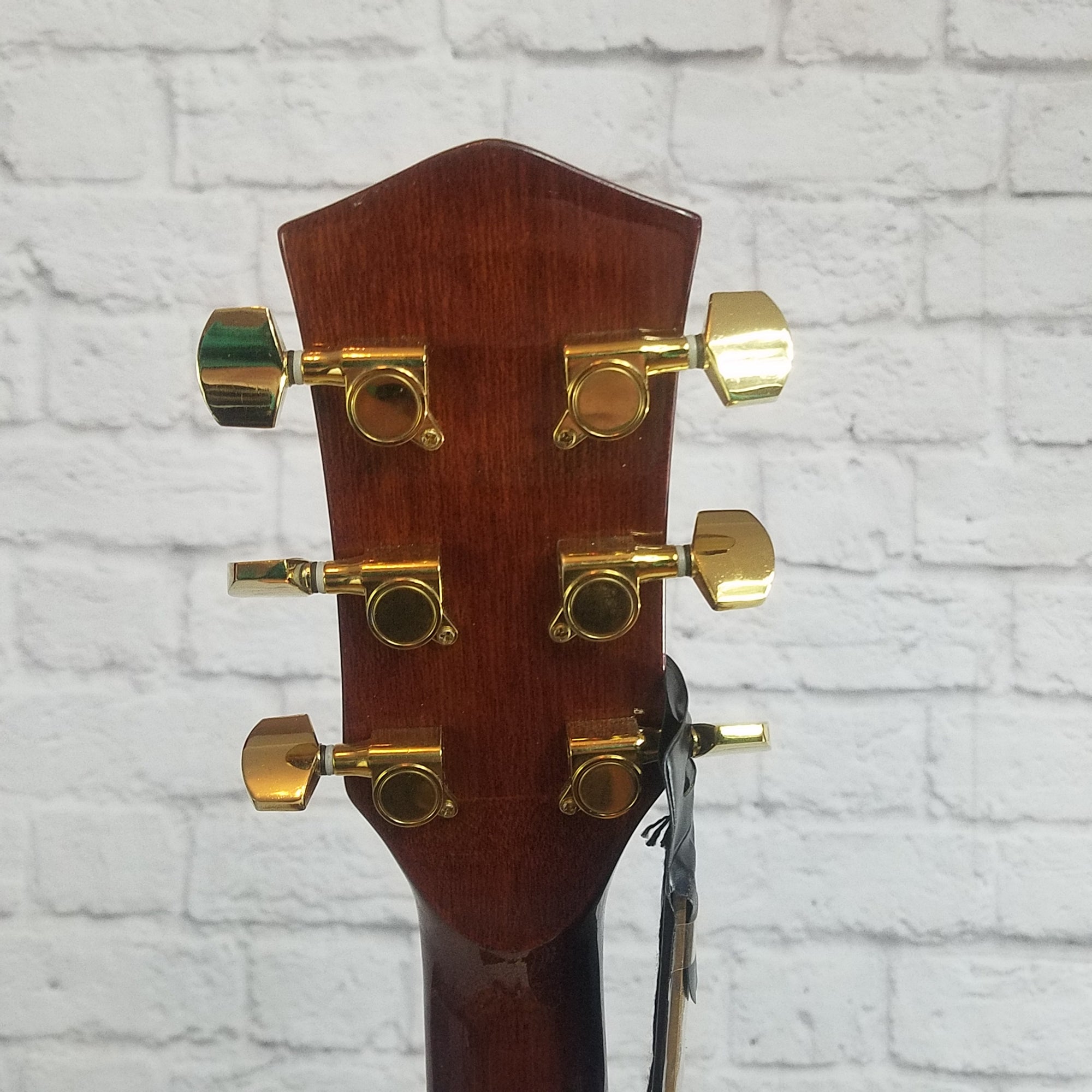 Ventura V1NAT Acoustic Guitar
