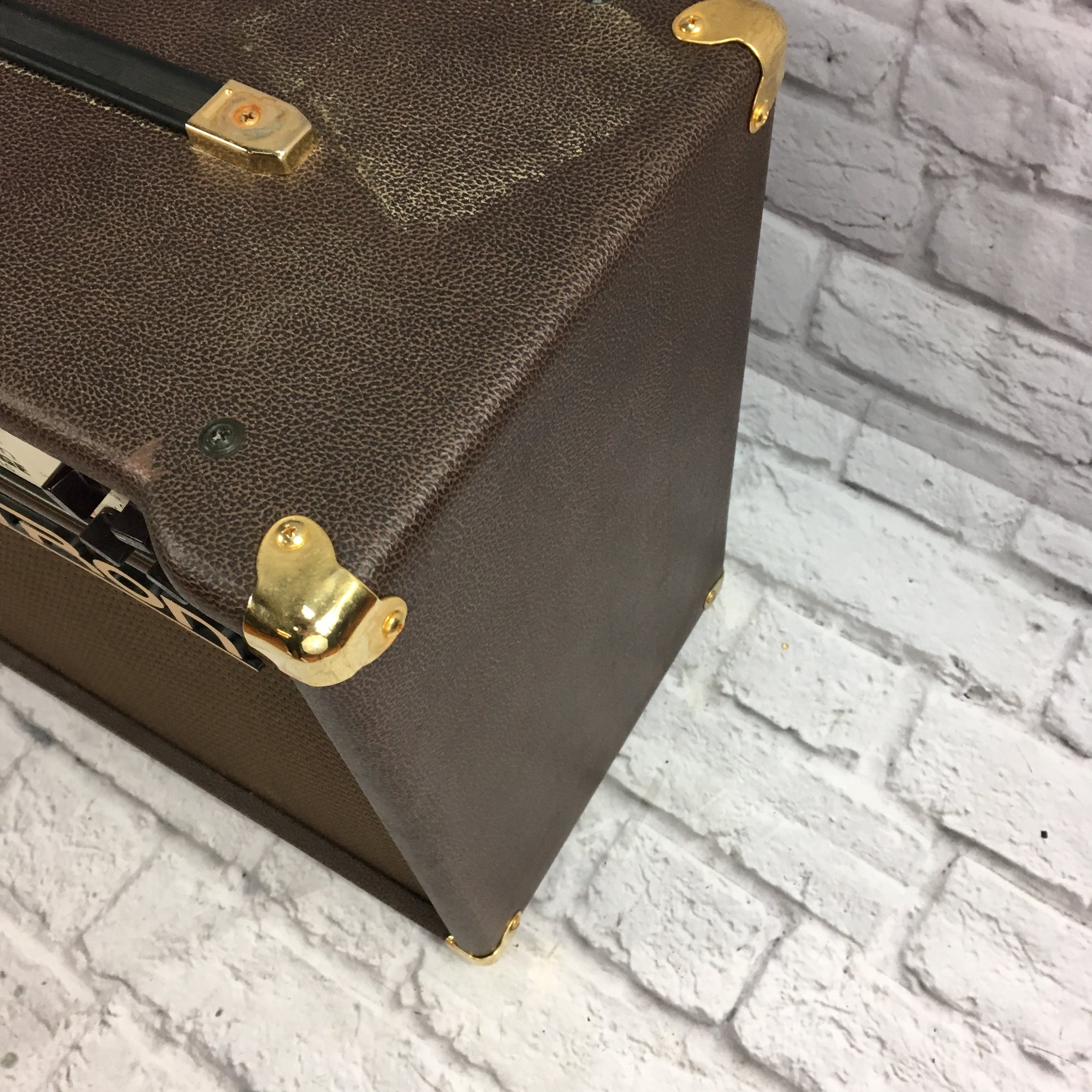 Rocktron Rampage Acoustic Guitar Amplifier