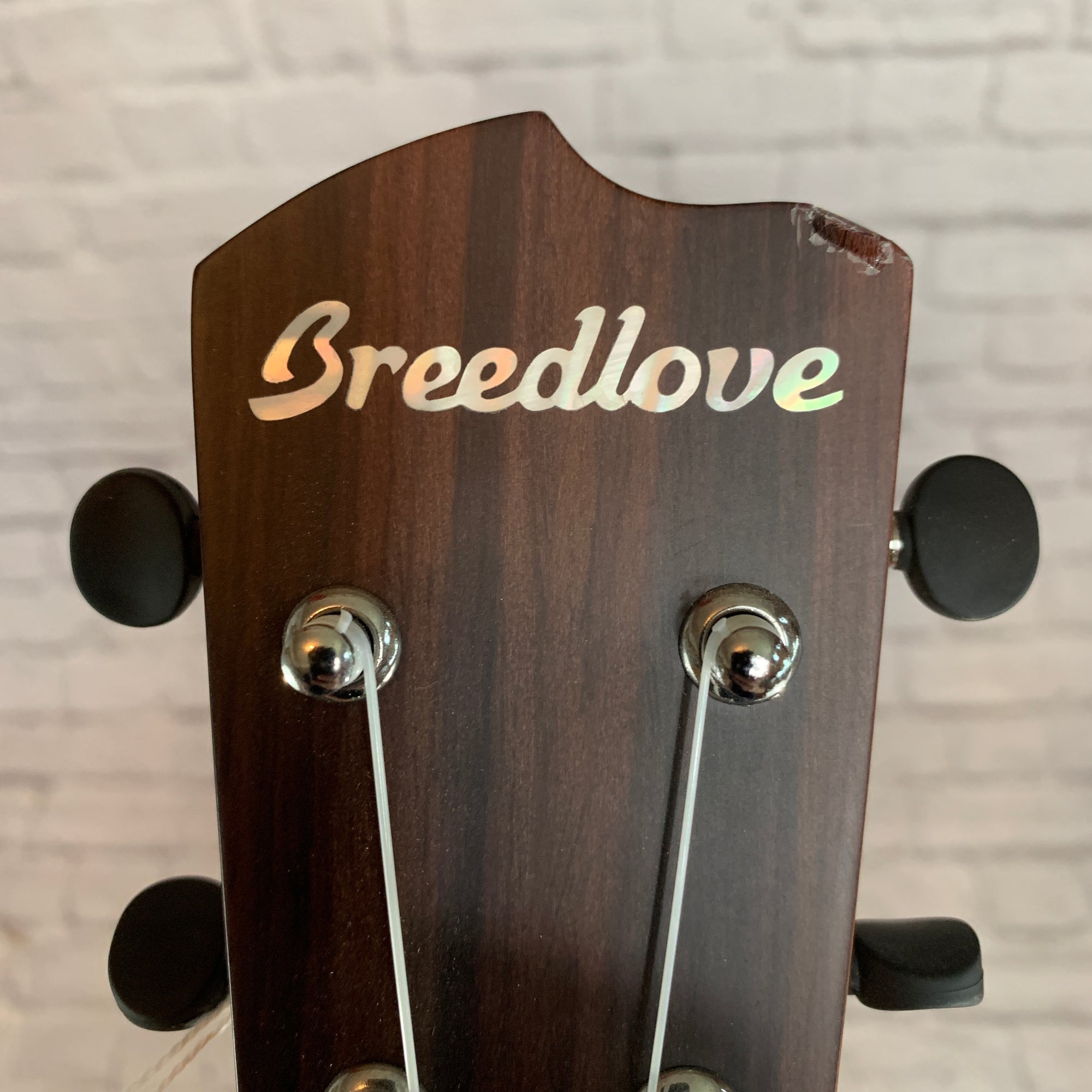 Breedlove Pursuit Ex Cu Bo Ukulele