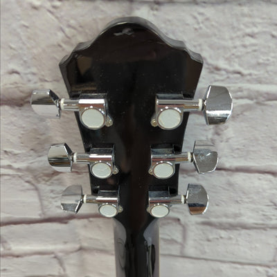 Ibanez AEG5 Thinline Acoustic Guitar