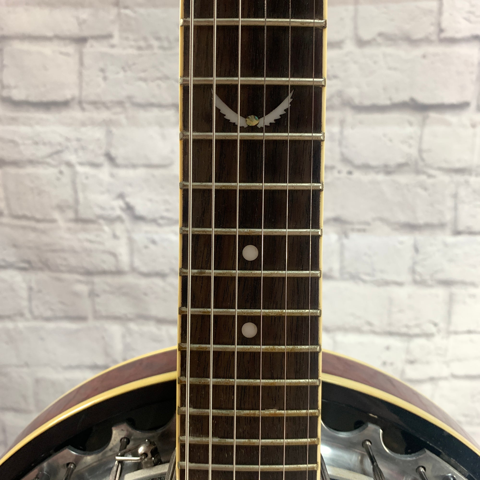 Dean Backwoods 6 String Banjo