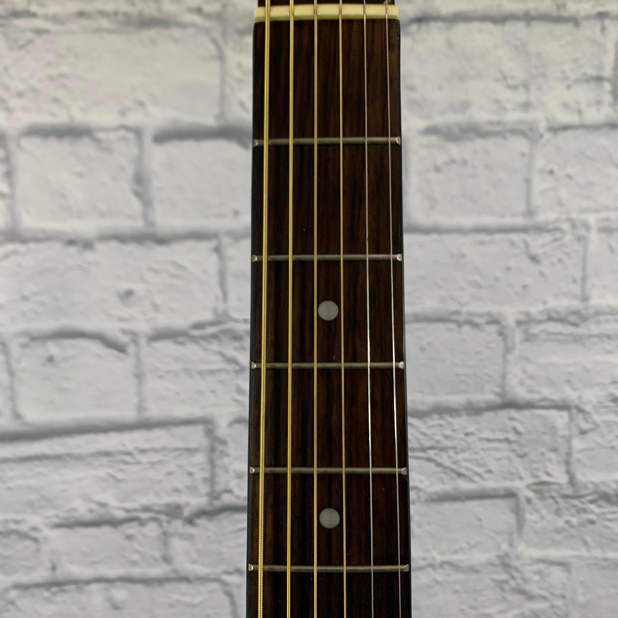 Peavy LP-001 Acoustic Guitar