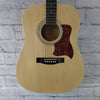 The Delta D-42/N Acoustic Guitar