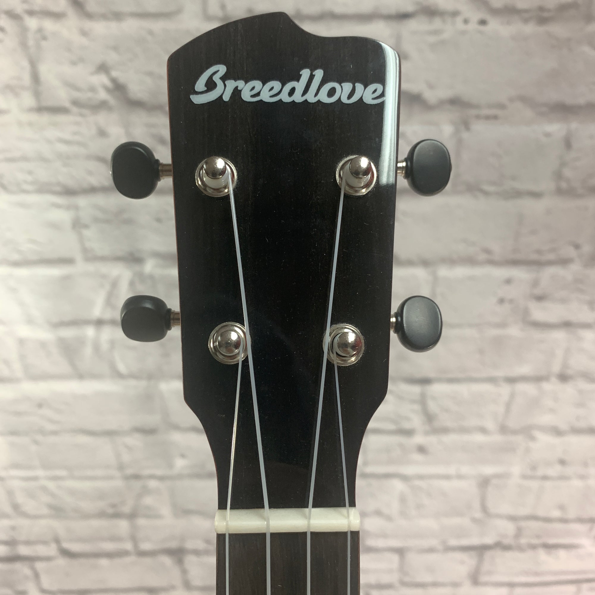 Breedlove Pursuit EX CU CEBC2