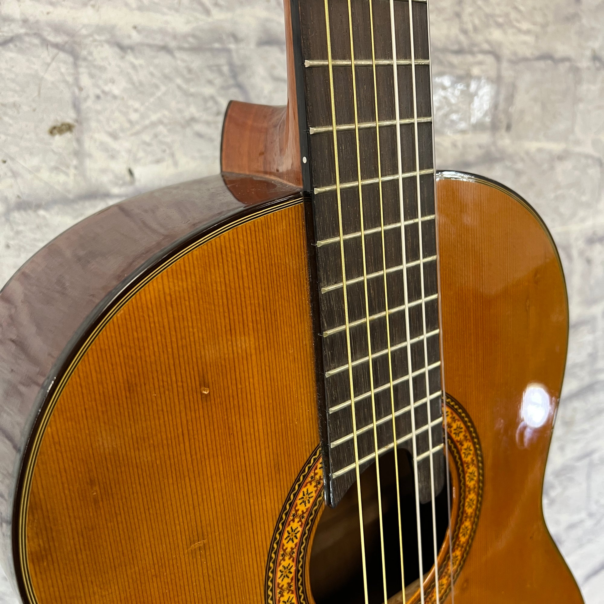 Washburn C30 Classical Acoustic Guitar Evolution Music