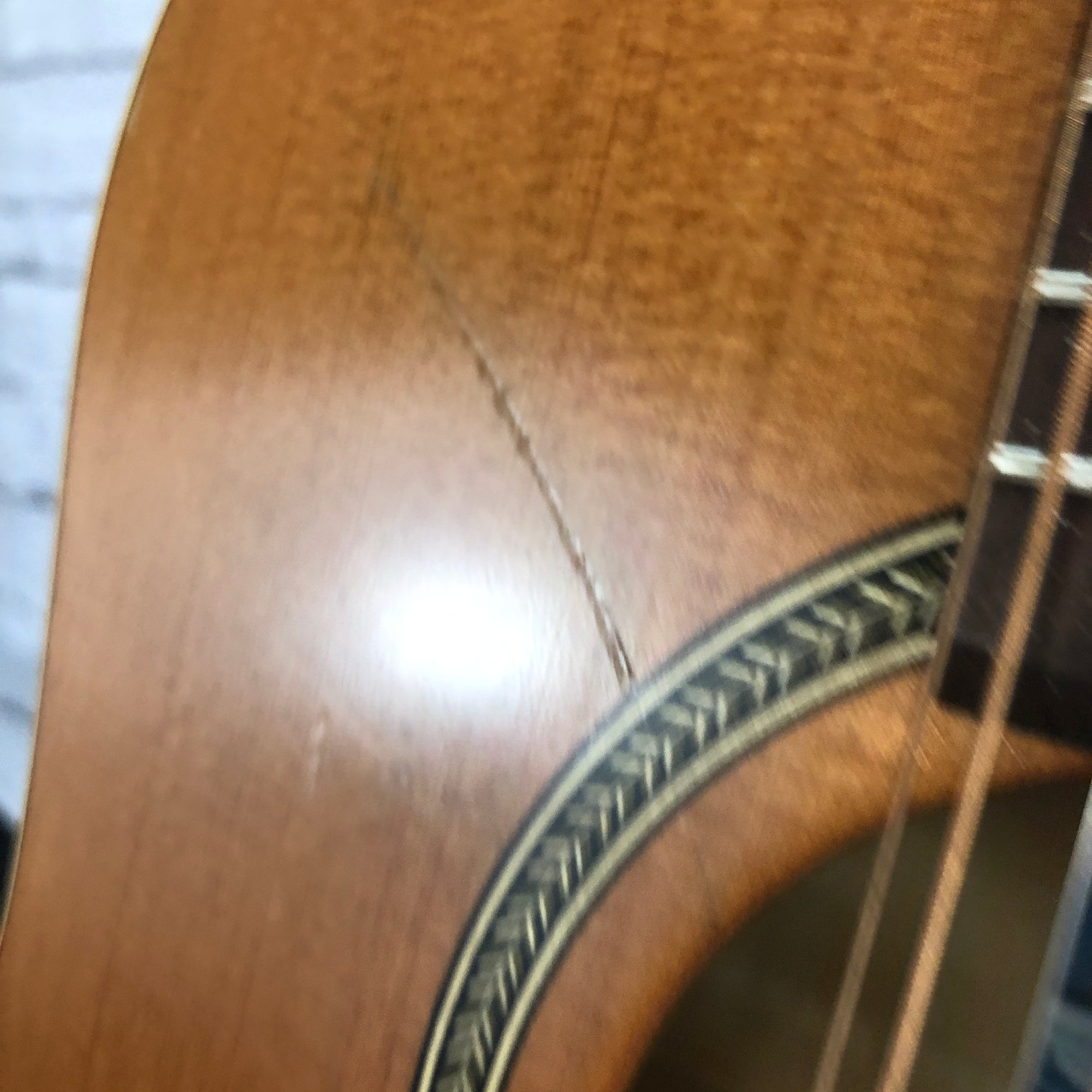 Seagull Coastline S12 Cedar 29358 12-String Acoustic Guitar