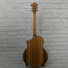 Ibanez Exotic Wood AEW40ZW-NT Acoustic-Electric Guitar