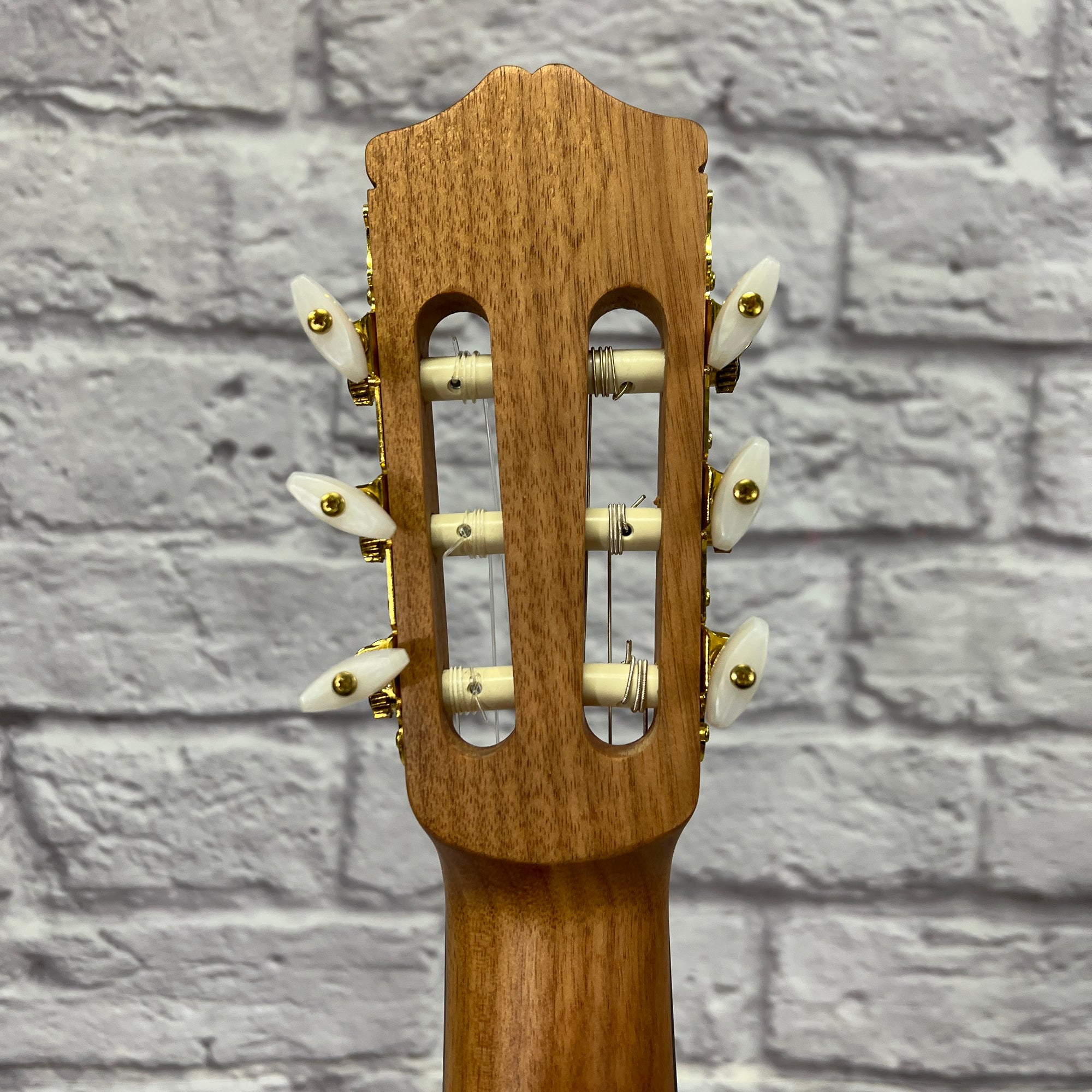 Protege C1M Full Size Classical Acoustic Guitar