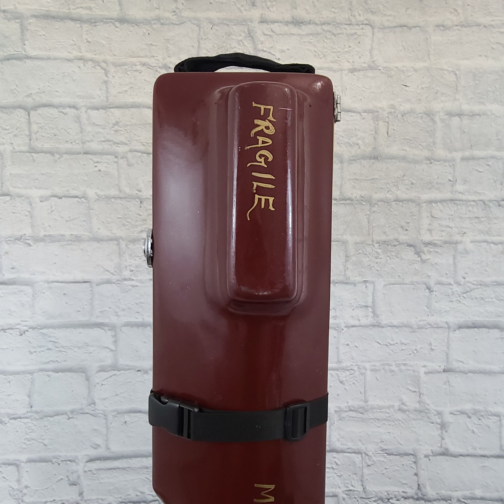 Unknown Sitar Fiber Glass Travel Case