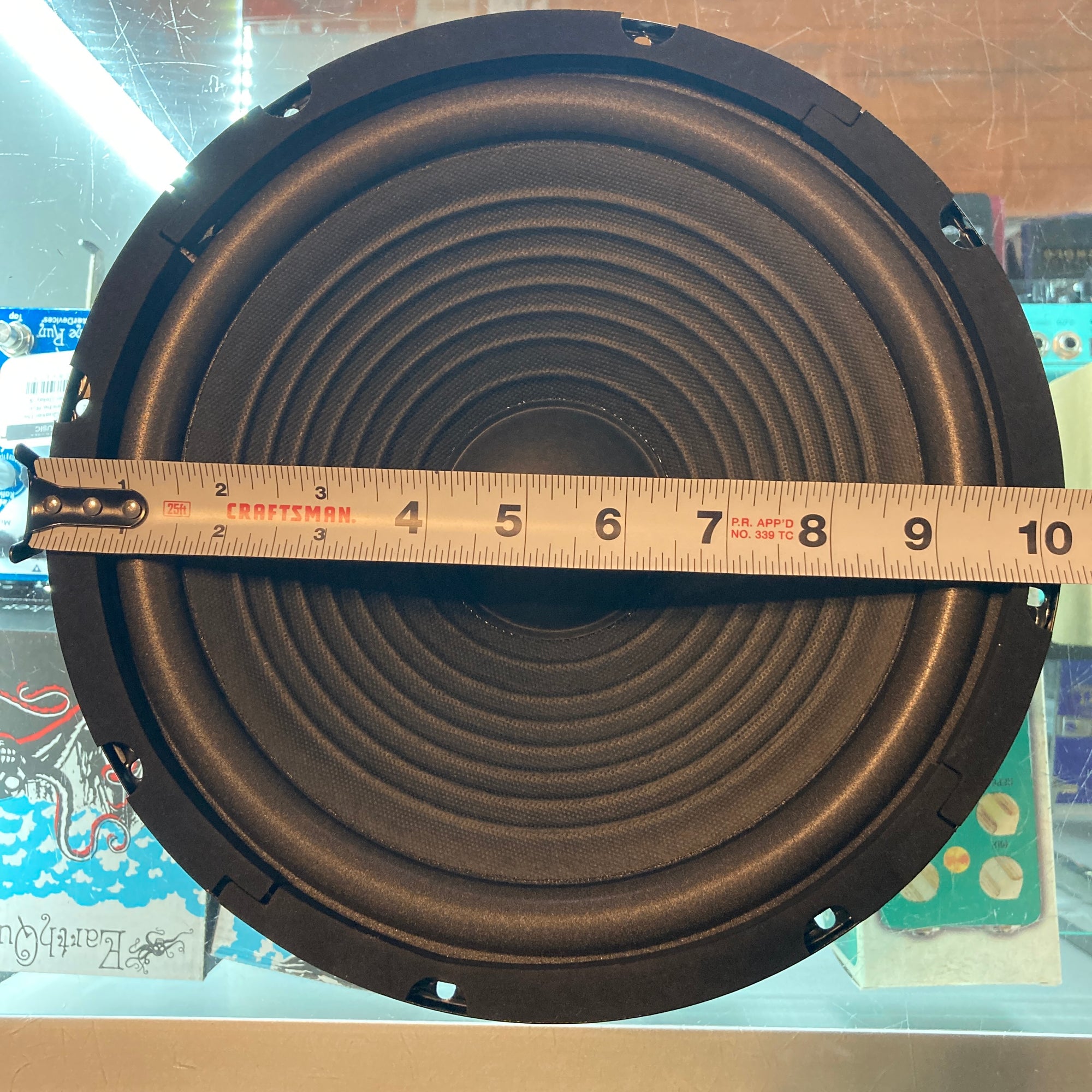 Unknown Chinese 10 Inch Speaker