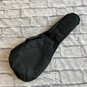 Unknown Black Mandolin Gig Bag