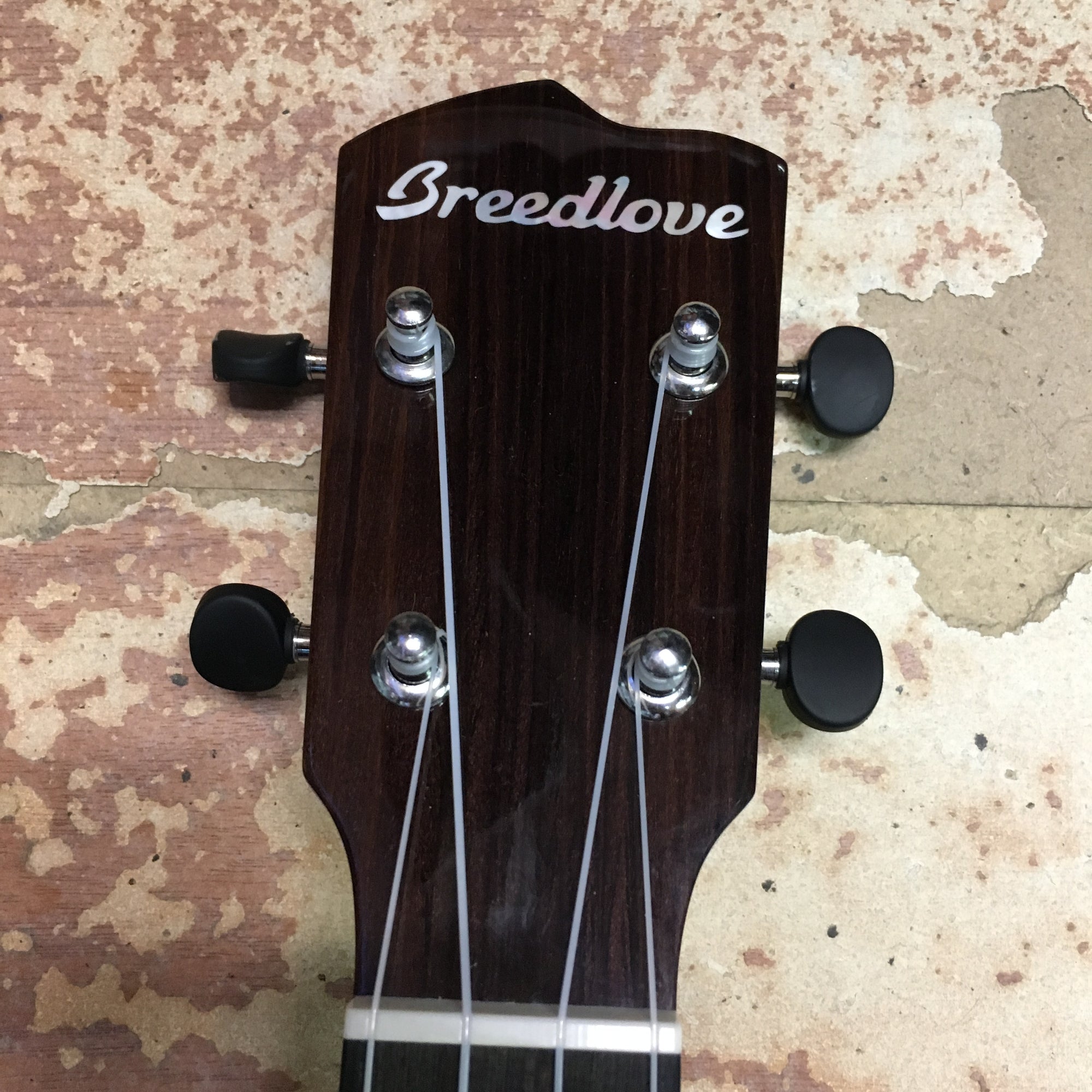 Breedlove Pursuit Ex CU BO Ukulele