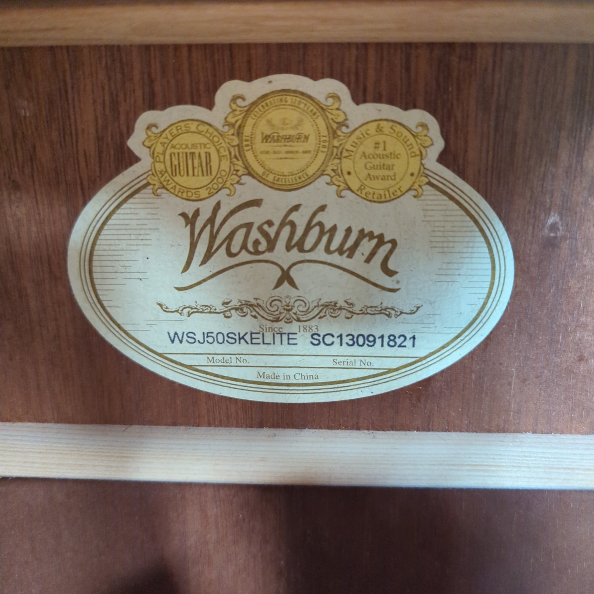 Washburn WSJ50SKELITE - Limited Edition Southern Jumbo Acoustic Guitar - Natural Gloss Finish w/Case