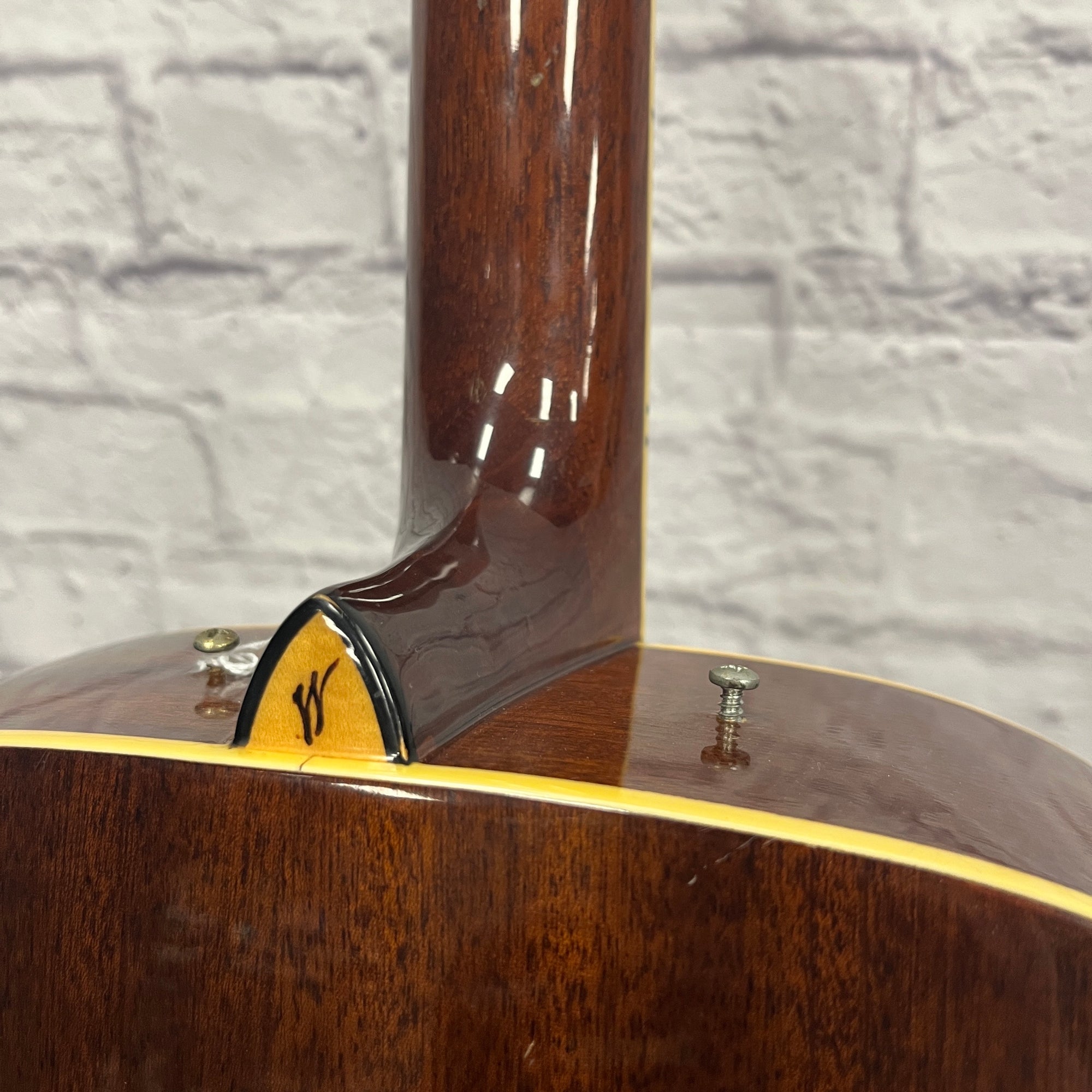 Washburn D95LTD Acoustic Guitar - Evolution Music