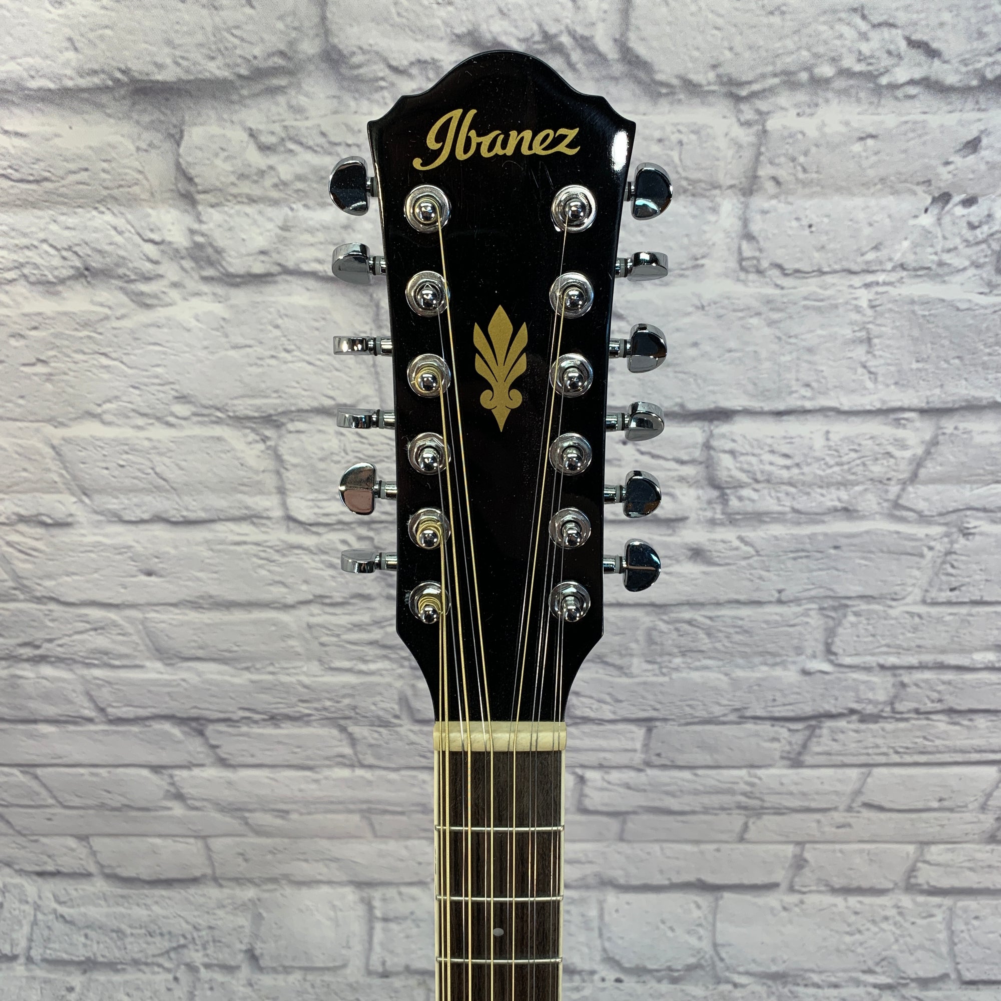 ** Ibanez AEG1812IIBK AEG Series 12-String Acoustic/Electric Guitar - Black