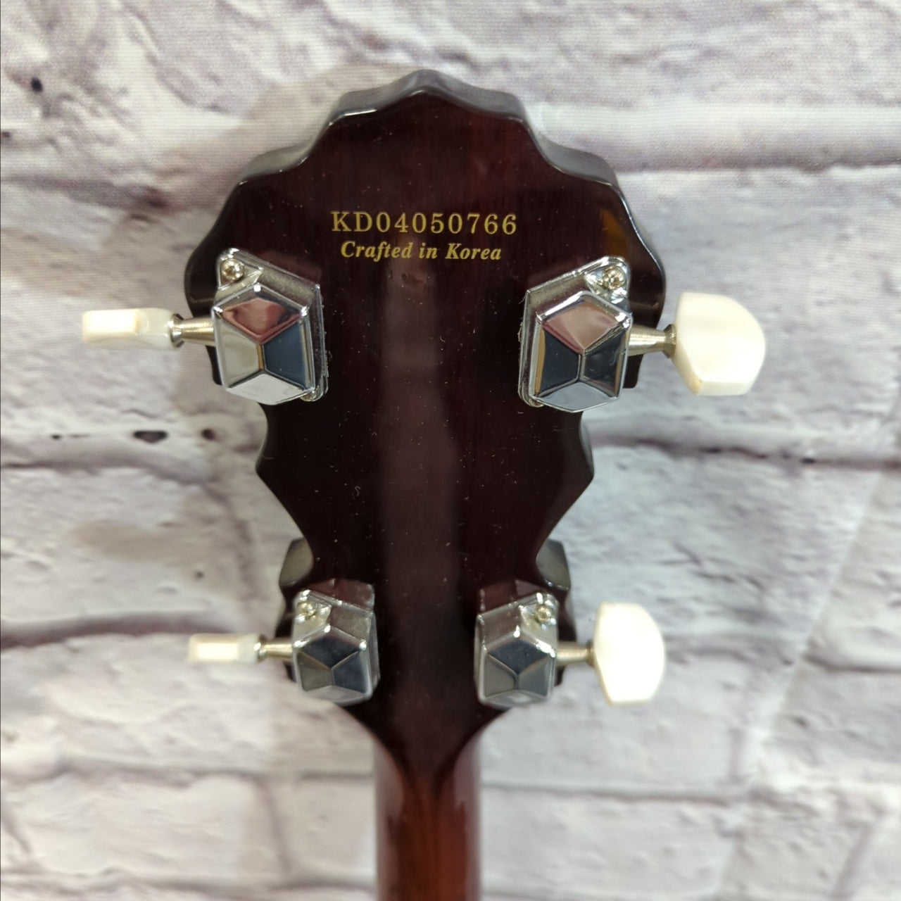 Fender 5 String Banjo with HSC