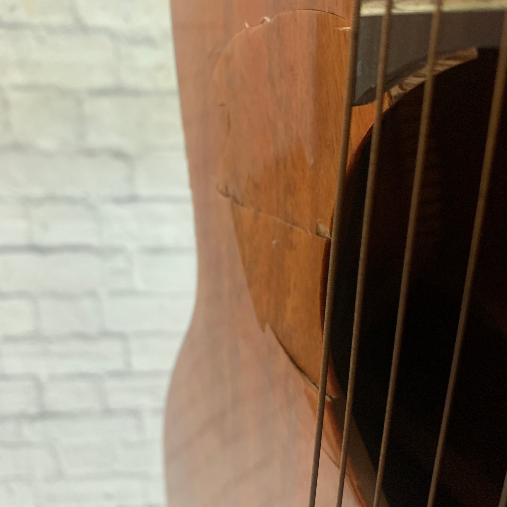 Luna Gypsy Spalt Acoustic Guitar AS IS