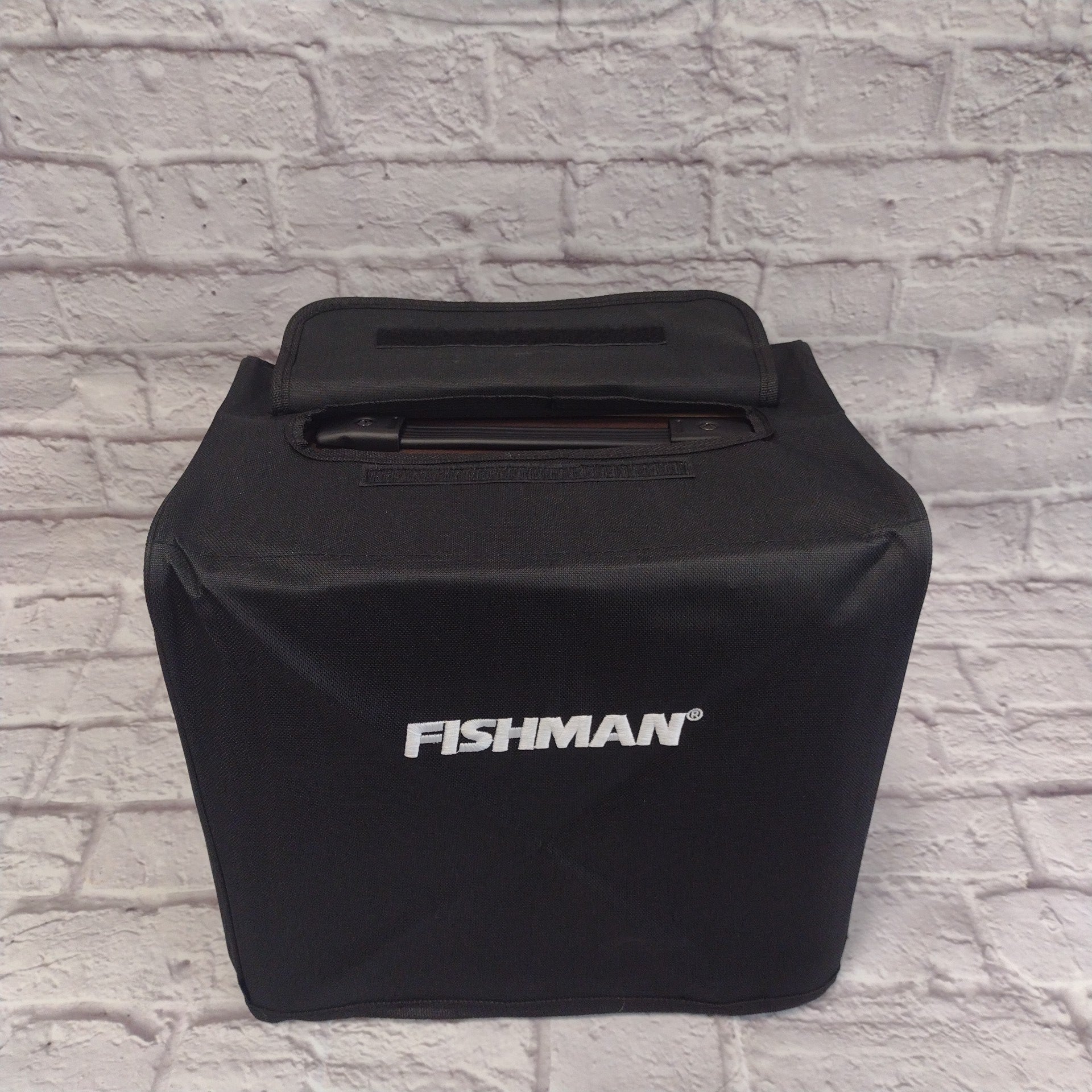 Fishman Mini Loudbox Acoustic Guitar Combo Amp