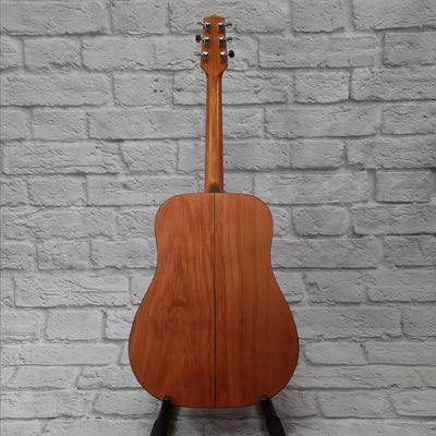 Jasmine S35 Arch top Guitar