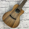 Luna HTC Koa Concert Ukulele