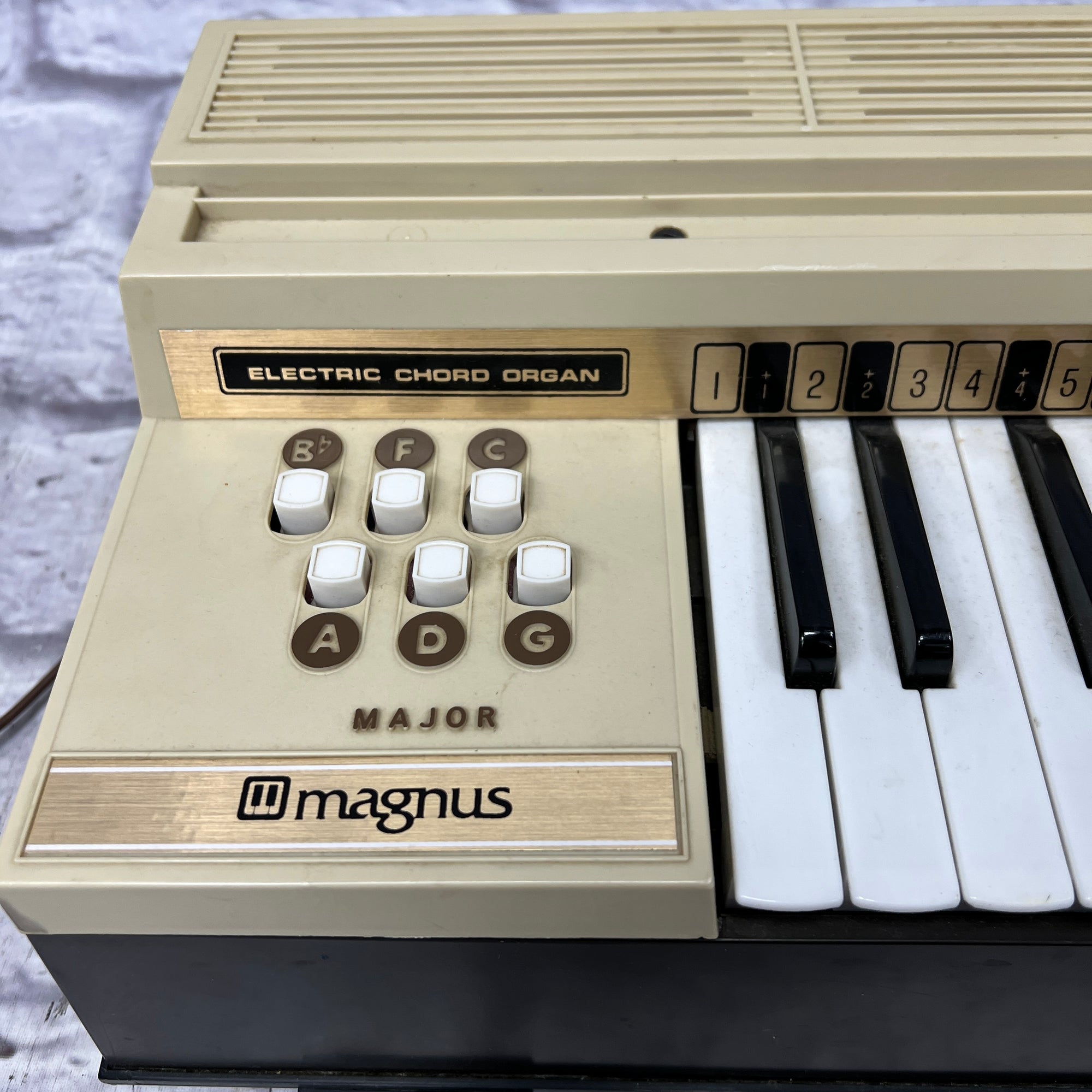 Magnus Model 7000 Chord Organ Evolution Music