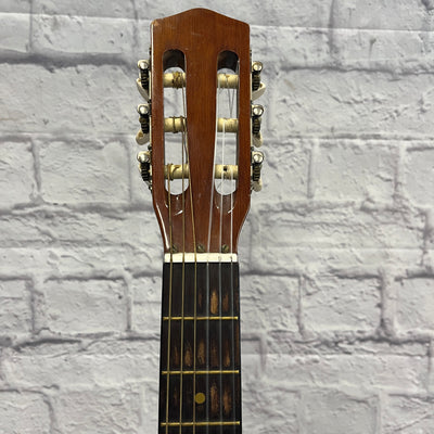 Eagle Acoustic Guitar