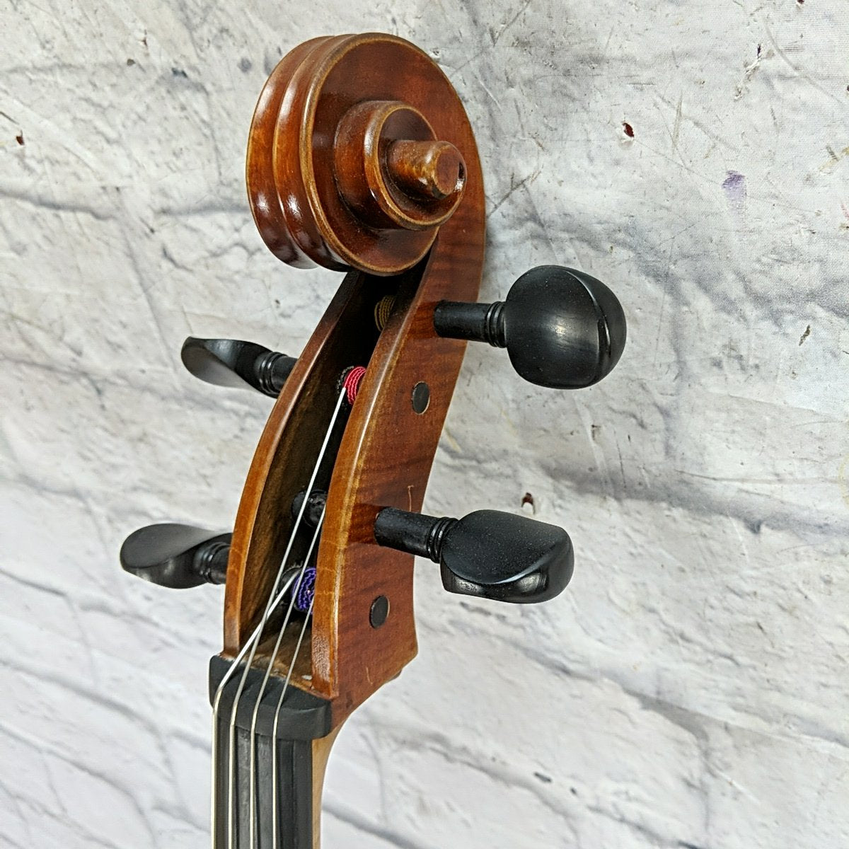 Franz Hoffman 4/4 Concert Cello with Bag and Bows