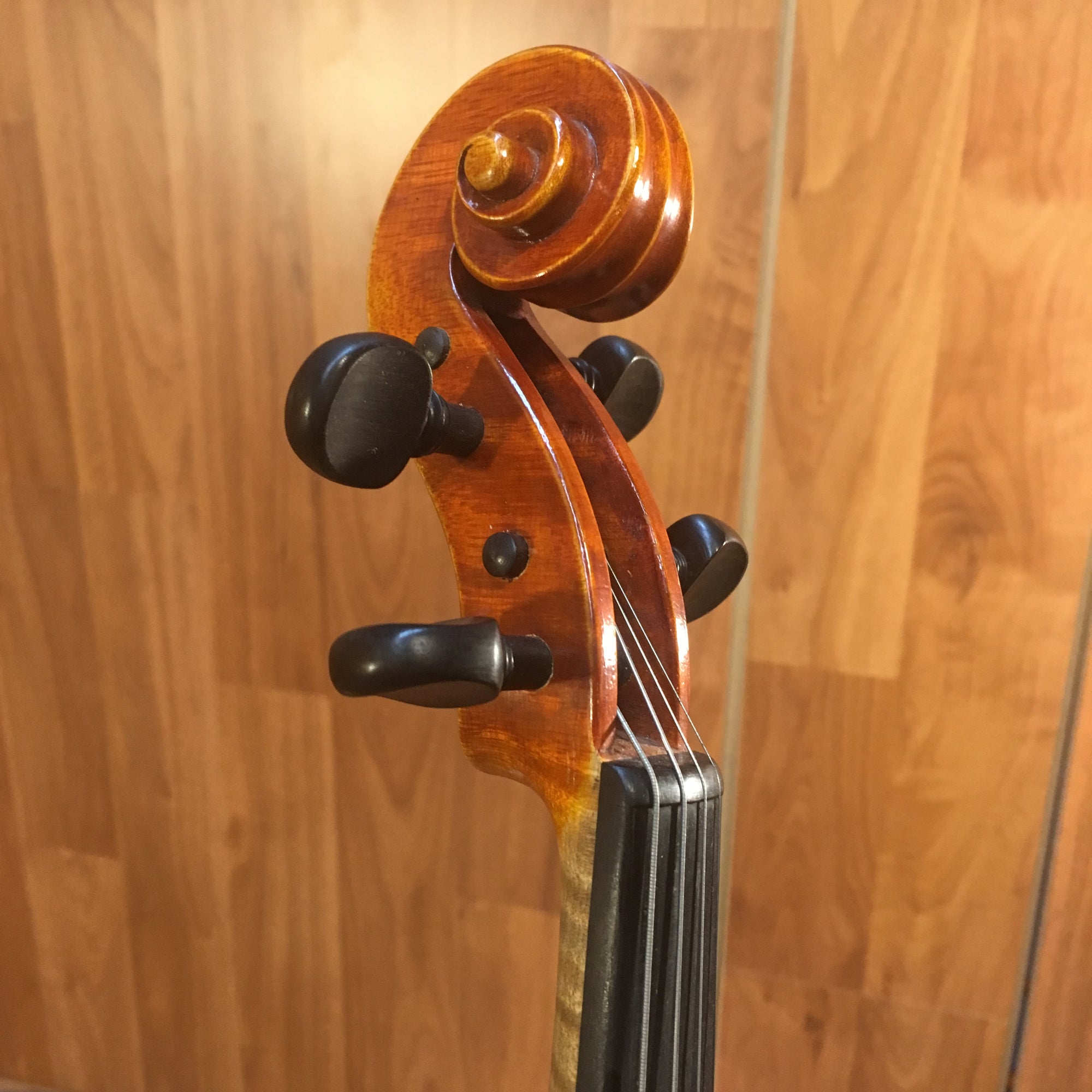 Vintage 1981 No. 580 Nagoya Suzuki 4/4 Violin - Evolution Music