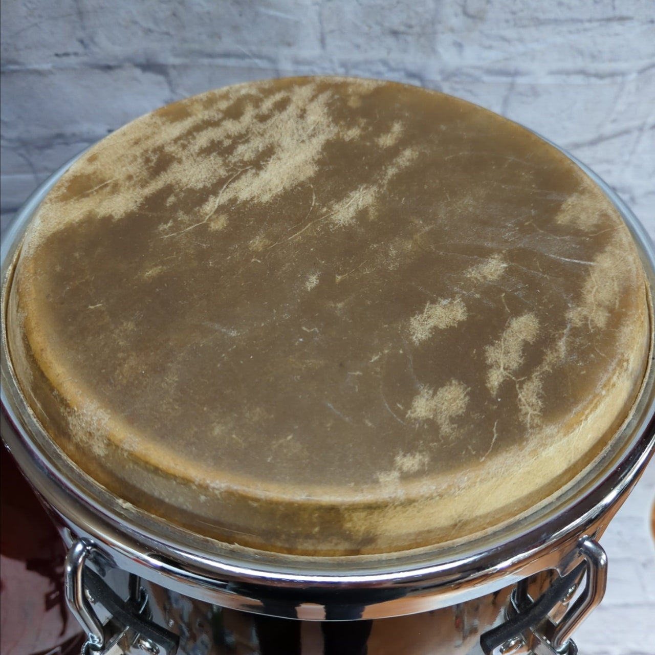 Sonor Champion Conga and Quinto with Stand and Bag