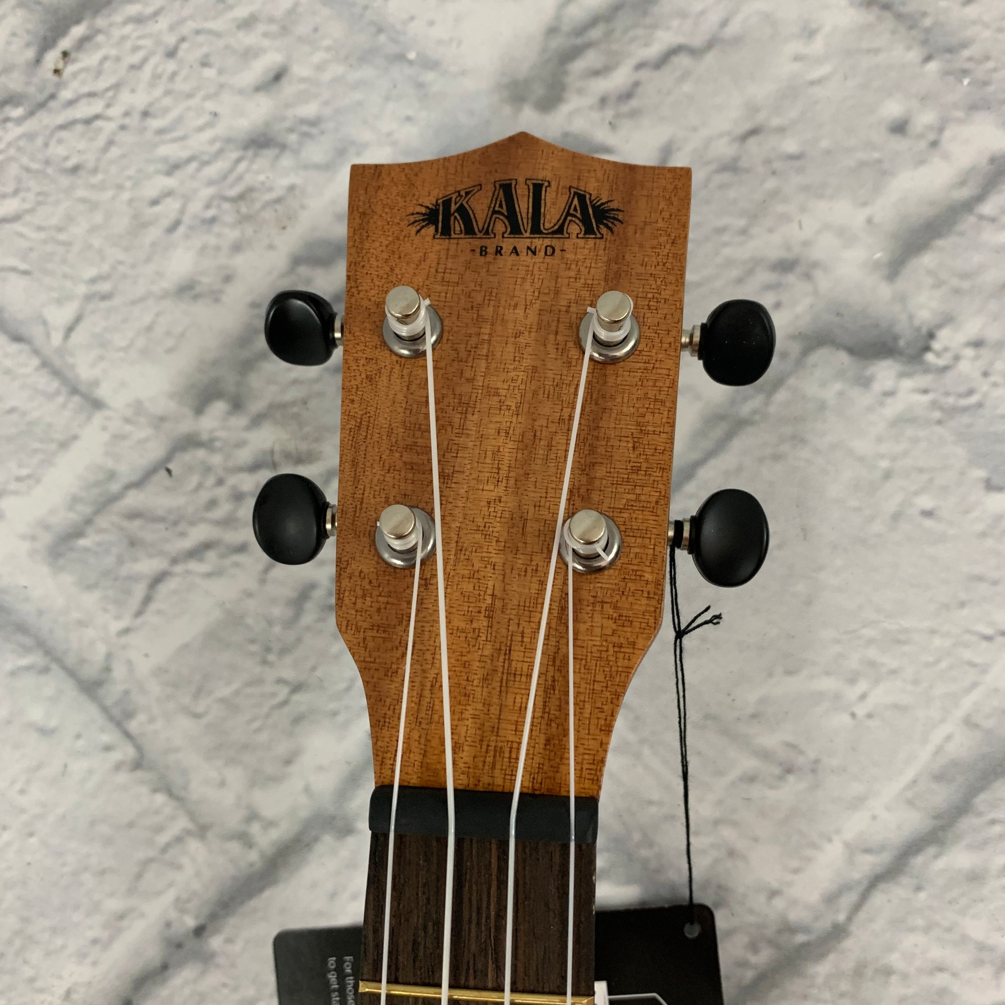 Kala Learn To Play Ukulele Tenor Starter Kit