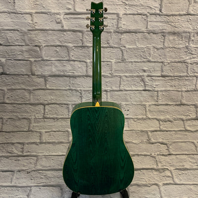 Washburn D-11 TBL Acoustic Guitar