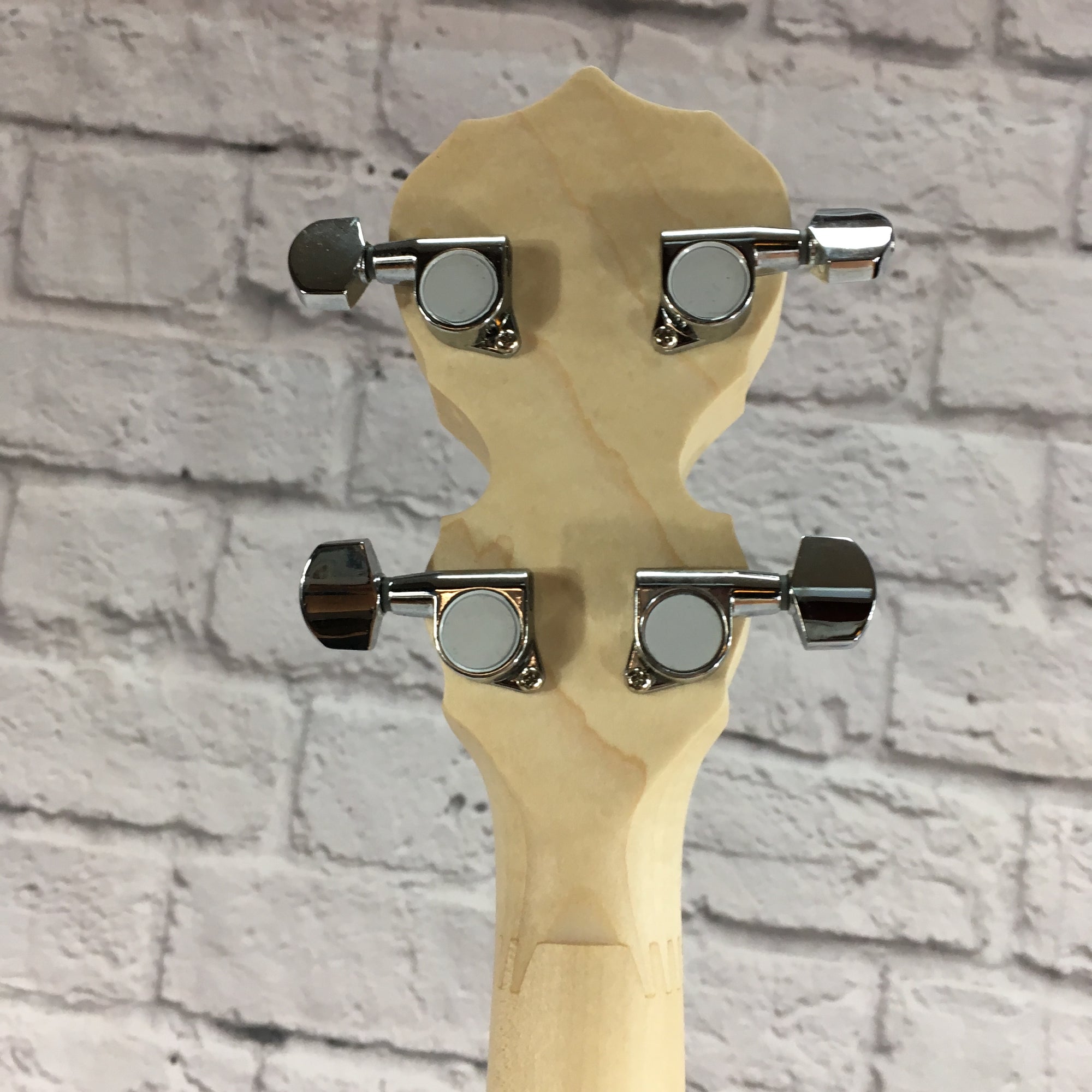 Deering Goodtime 5 String Banjo