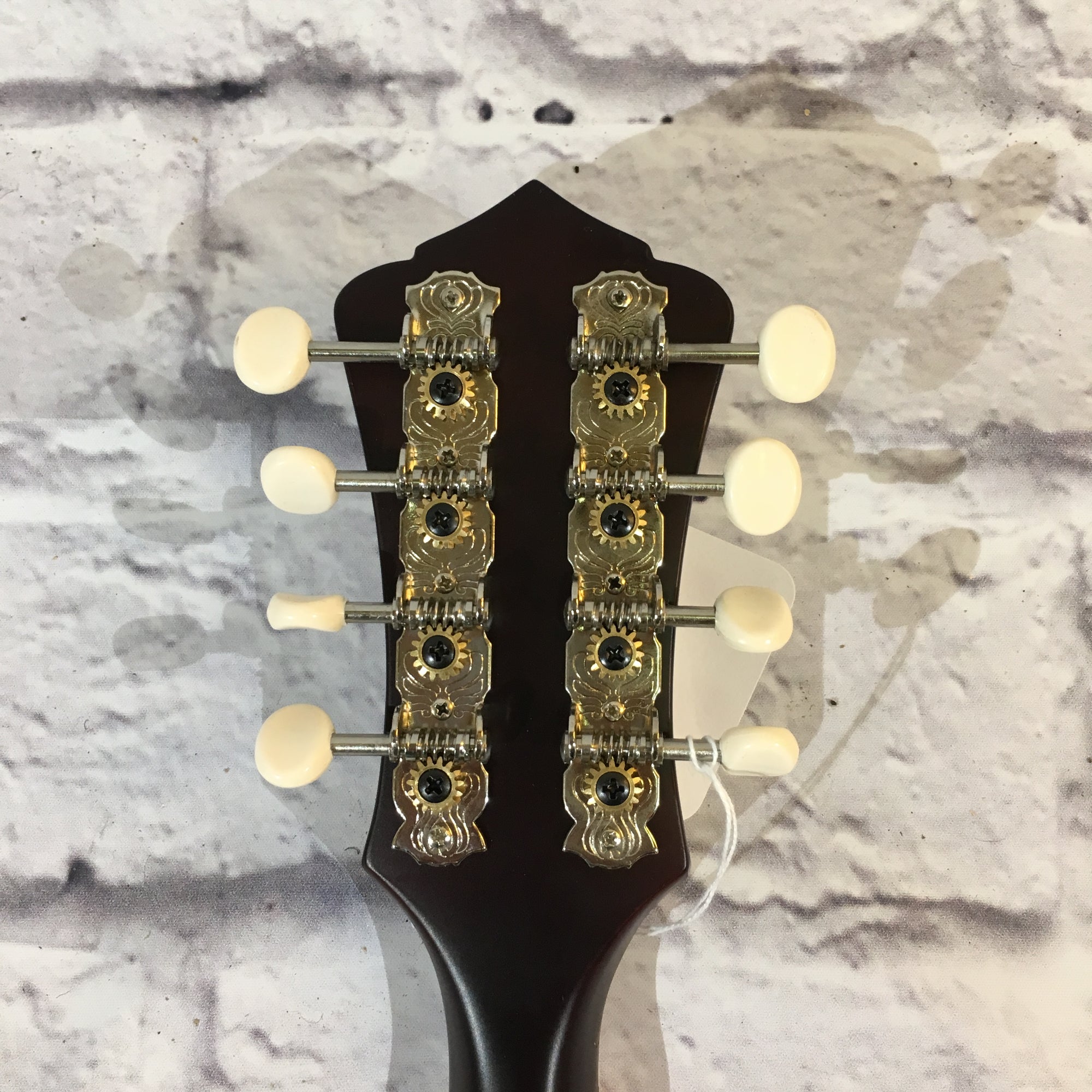 Recording King Century33 Limited Edition RAC-9-TS Mandolin
