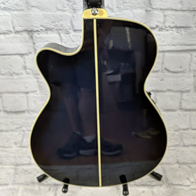 Ibanez AEG10E Acoustic Guitar