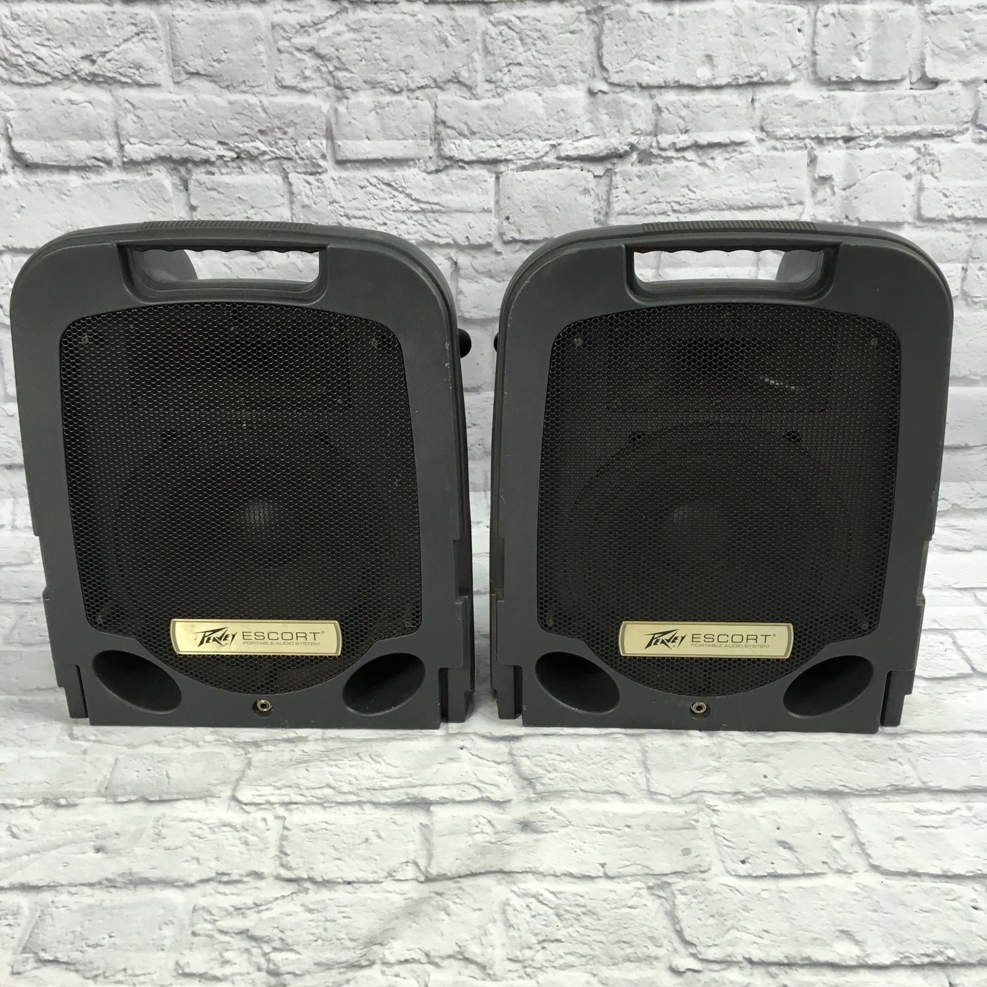 Peavey Encore Speaker Pair Only
