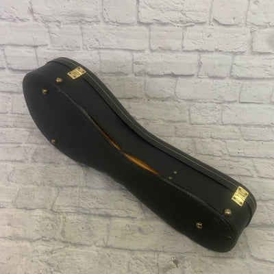 Unknown Mandolin Case Mandolin Case