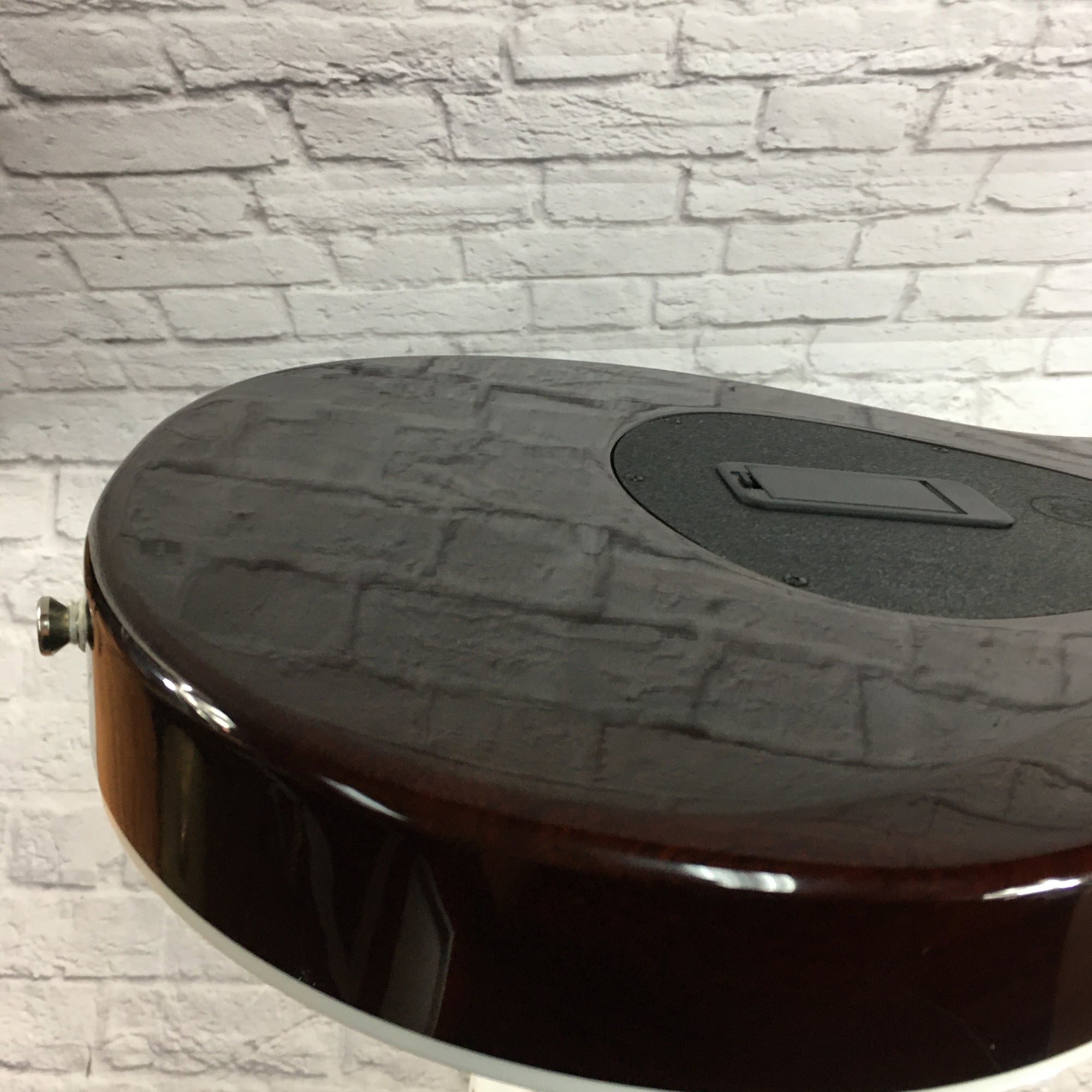 Taylor T5Z Pro Acoustic Electric Guitar Molasses
